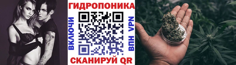 Бошки марихуана Bruce Banner  OMG ССЫЛКА  Великий Устюг 